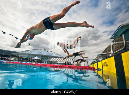 Nuotatori facendo un tuffo start durante il loro sport competitivo (Francia). Départ plongé lors d'une compétition de natation (Francia). Foto Stock