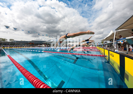 Nuotatori facendo un tuffo start durante il loro sport competitivo (Francia). Départ plongé lors d'une compétition de natation (Francia). Foto Stock