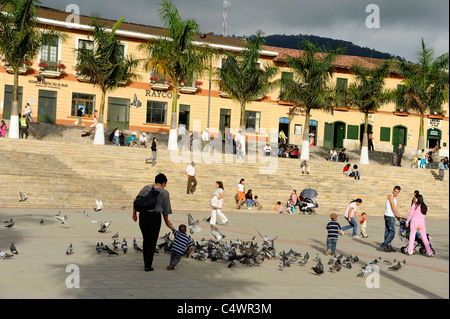 Piccioni in Piazza centrale di Fusagasuga, Colombia, Sud America Foto Stock