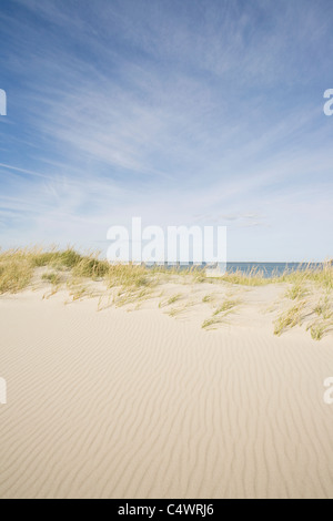 Stati Uniti d'America,Massachusetts,Cape Cod,Nantucket,spiaggia sabbiosa Foto Stock