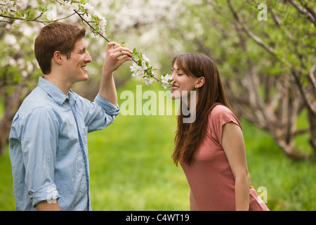 Stati Uniti d'America,Utah,Provo,Coppia giovane maleodoranti blossom nel frutteto Foto Stock