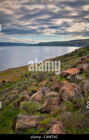 Stati Uniti d'America, Oregon, Gilliam County, Columbia River Foto Stock