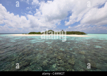 Isola deserta con una vista della barriera corallina Foto Stock