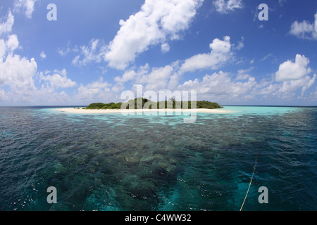Isola deserta con una vista della barriera corallina Foto Stock