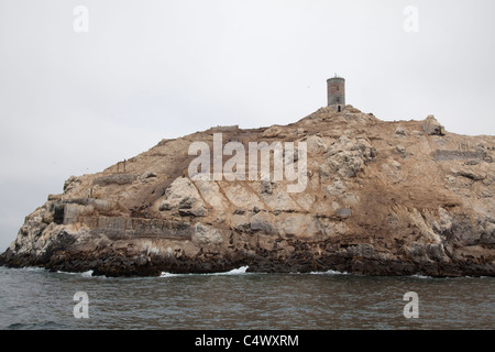 Le Isole Palomino, al largo della costa di Lima, Perù Foto Stock