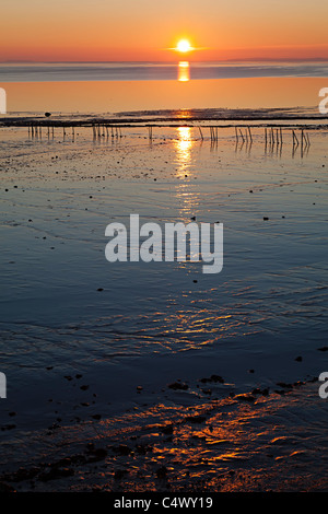 Tramonto sulla spiaggia e velme a Goldcliff vicino a Newport Gwent Wales UK Foto Stock