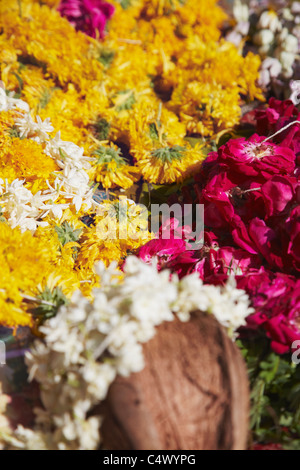 I fiori per le offerte al di fuori del tempio Jagdish, Udaipur, Rajasthan, India Foto Stock