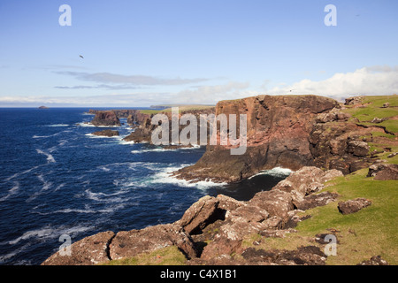 Testa di Stanshi, Eshaness, Isole Shetland Scozia, Regno Unito, Gran Bretagna. Vista di scogliere sulla spettacolare costa rocciosa Foto Stock