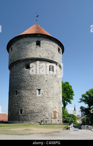 Torretta cannone Kiek in de Kök a Tallinn Estonia Europa Foto Stock