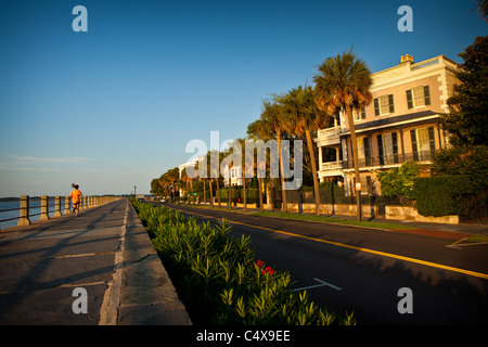 Case storiche lungo la batteria in Charleston, Sc Foto Stock