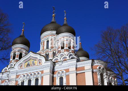 La Cattedrale Alexander Nevsky, Tallinn, Estonia Foto Stock