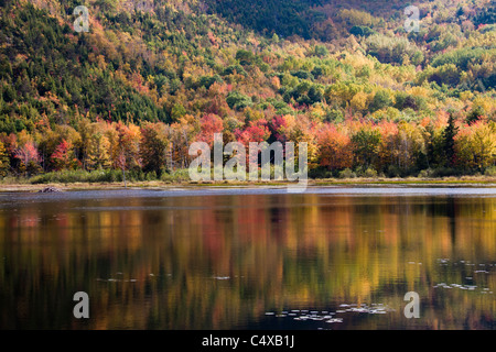 Colore autunnale in riflessi lago nel Parco Nazionale di Acadia sul Monte Desert Island nel Maine. Foto Stock