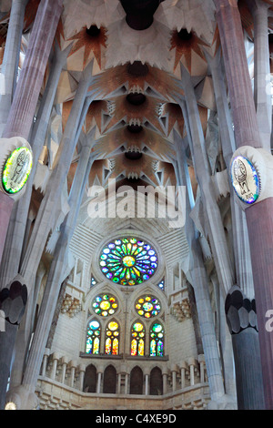 Interno della Basilica della Sagrada Familia di Barcellona, in Catalogna, Spagna Foto Stock