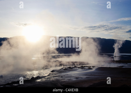 Il lago Bogoria's geyser e sorgenti calde.Kenya Foto Stock