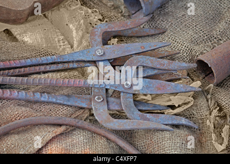 Trishul, simbolo sacro, arma del signore Shiva per la vendita al mercato, Arunachal Pradesh, India Foto Stock