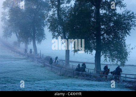 I cavalli da corsa in una nebbiosa mattina Venn, Agriturismo, Milborne Port, Somerset, Inghilterra, Regno Unito Foto Stock