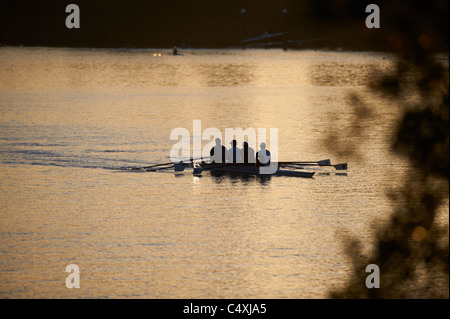 Il team di canottaggio sul Milton raggiungere il fiume Brisbane Foto Stock