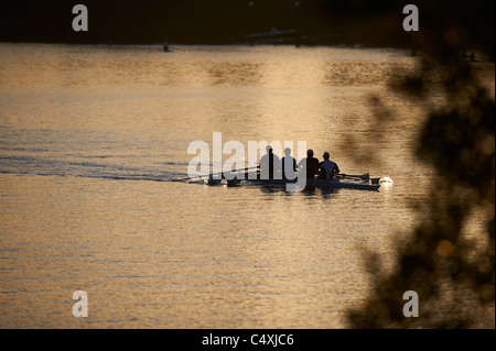 Il team di canottaggio sul Milton raggiungere il fiume Brisbane Foto Stock