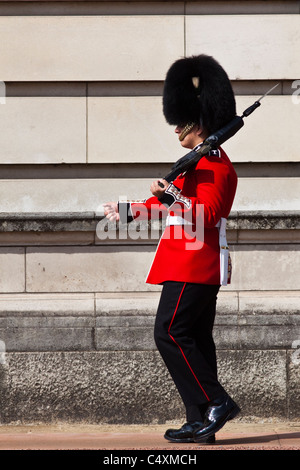 Welsh guardsman di sentinella a Buckingham palace Foto Stock