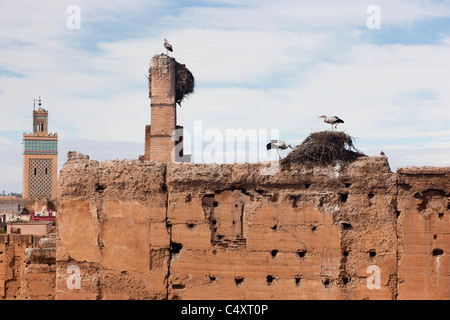 La nidificazione delle cicogne sulla parte superiore delle pareti del Palais El Badii. Marrakech, Marocco. Foto Stock