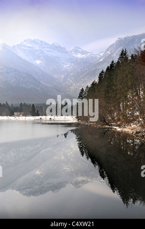 Vista sul lago di Bohinj nel Parco Nazionale del Triglav di Slovenia Foto Stock