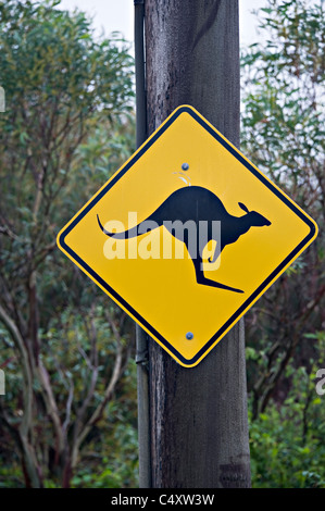 Simbolo giallo di avvertimento di consigliare i conducenti di pericolo di Canguri o animali selvatici sulla strada vicino a Peterborough Victoria Australia Foto Stock