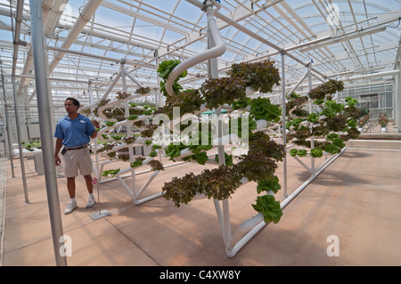 Epcot Theme Park Land Pavilion Walt Disney World Resort di Orlando in Florida il dietro i semi Tour & Living con le terre Tour Foto Stock