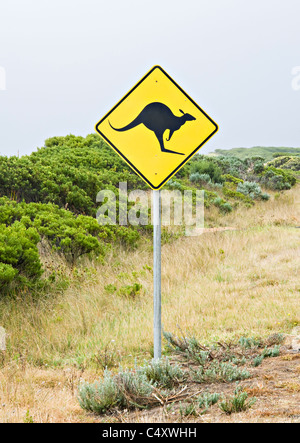 Simbolo giallo di avvertimento di consigliare i conducenti di pericolo di Canguri o animali selvatici sulla strada vicino a Peterborough Victoria Australia Foto Stock