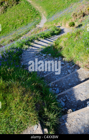 Passi sul South West Coast Path a Bull Point vicino a Mortehoe, Devon, Inghilterra. Foto Stock