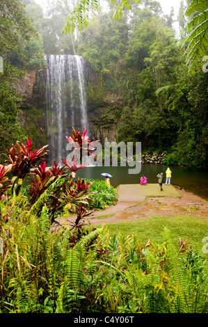 Millaa Millaa cade nell'altopiano di Atherton in North Queensland Australia Foto Stock