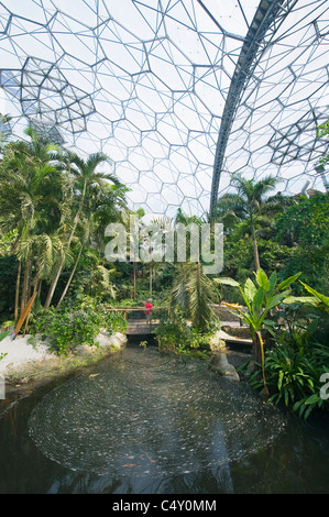 Progetto Eden, Rainforest Biome, Serra, Cornwall, Inghilterra Foto Stock