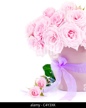 Pentola di rosa rose fresche, bellissimi fiori isolati su sfondo bianco Foto Stock