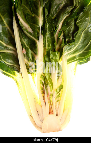 Vegetali, lattuga romana. Foto Stock