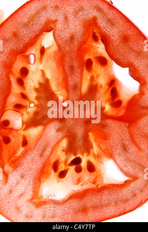 Vegetali di pomodoro rosso, vite-pomodori maturi. Foto Stock