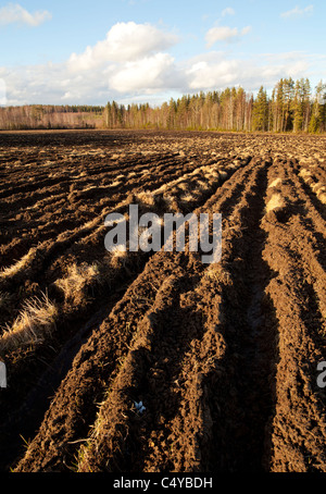 Campo Arato a molla , Finlandia Foto Stock