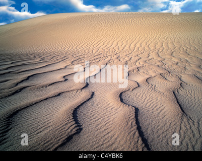 Vento da ondulazioni in dune di sabbia. Parco Nazionale della Valle della Morte, California. Il cielo è stato aggiunto Foto Stock