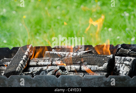 Vista ravvicinata del fuoco alette e firewoods nel barbecue su un giardino verde erba Foto Stock