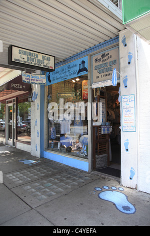 Una testa rimpicciolita Boutique Franklin Street negozio vendita UNC di pallacanestro degli uomini di tacchi di catrame memorabilia, Chapel Hill, North Carolina Foto Stock