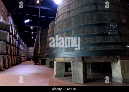 Botti di legno di diverse dimensioni tenere la porta vino fortificato a maturare in cantine di vino in Villa Nova de Gaia, Portogallo Foto Stock