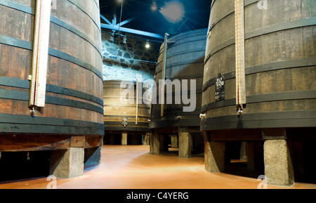 Botti di legno di diverse dimensioni tenere la porta vino fortificato a maturare in cantine di vino in Villa Nova de Gaia, Portogallo Foto Stock