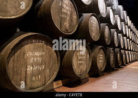 Barili di legno porta di attesa di vino alcolizzato a maturare in cantine di vino in Villa Nova de Gaia, Portogallo Foto Stock