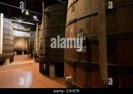 Botti di legno di diverse dimensioni tenere la porta vino fortificato a maturare in cantine di vino in Villa Nova de Gaia, Portogallo Foto Stock