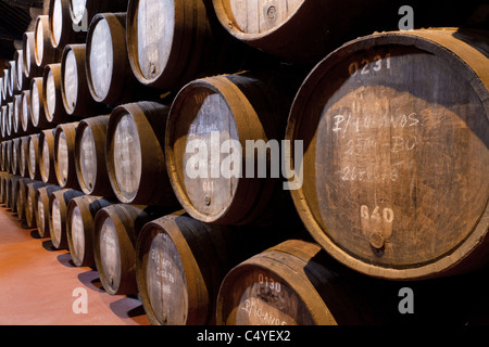 Barili di legno porta di attesa di vino alcolizzato a maturare in cantine di vino in Villa Nova de Gaia, Portogallo Foto Stock