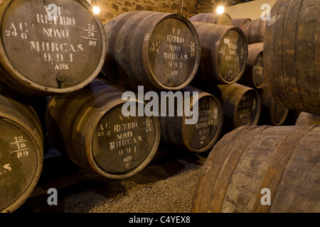 Barili di legno porta di attesa di vino alcolizzato a maturare in cantine di vino in Villa Nova de Gaia, Portogallo Foto Stock