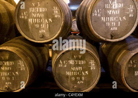 Barili di legno porta di attesa di vino alcolizzato a maturare in cantine di vino in Villa Nova de Gaia, Portogallo Foto Stock