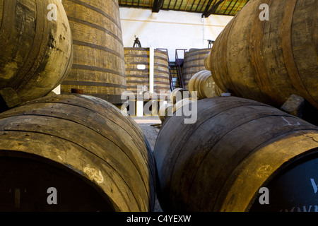 Barili di legno porta di attesa di vino alcolizzato a maturare in cantine di vino in Villa Nova de Gaia, Portogallo Foto Stock