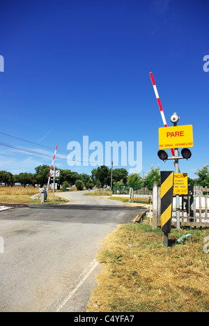 Segnali di avvertimento sulla ferrovia crossing. Foto Stock