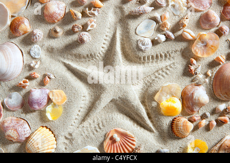 Spiaggia con starfish stampato in sabbia bianca molti clam shell come una vacanza estiva lo sfondo Foto Stock