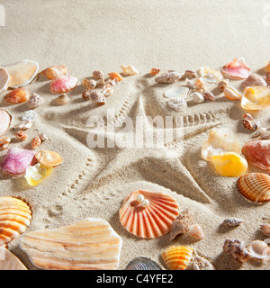 Spiaggia con starfish stampato in sabbia bianca molti clam shell come una vacanza estiva lo sfondo Foto Stock