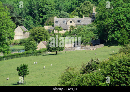 Cotswold paesaggio glocestershire saintbury Foto Stock